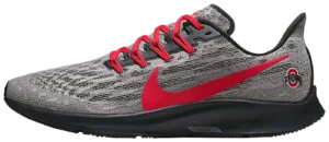 Air Zoom Pegasus 36 "Ohio State"
