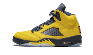 Air Jordan 5 Retro SE "Michigan"