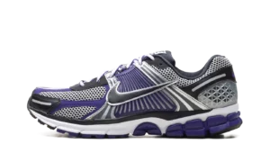 Vomero 5 "Metallic Silver / Court Purple"
