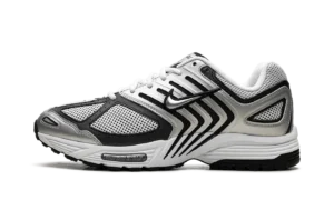 Air Pegasus 2005 "Metallic Silver White Black"