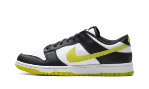 Dunk Low Retro "Black Bright Cactus"