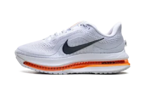 Air Zoom Pegasus Premium WMNS "Airscape"