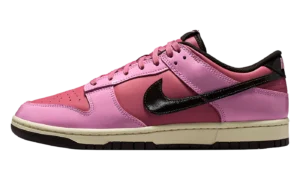 Dunk Low Retro "Donut"