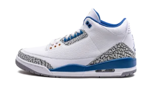 Air Jordan 3 Retro "Wizards"