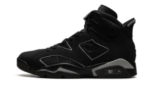 Air Jordan 6 "Cap & Gown"