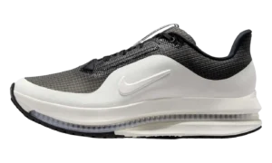 Pegasus Premium SP "Black / Sail"