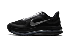 Air Zoom Pegasus Premium SP "Black Metallic Silver"