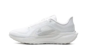 Air Zoom Pegasus 41 "Gore-Tex"
