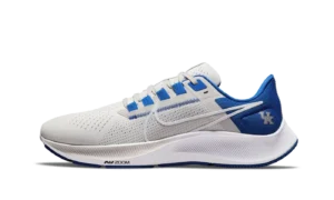 Air Zoom Pegasus 38 "Kentucky"