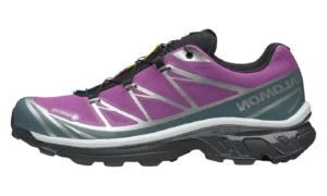 XT-6 Gore-Tex "Concord Grape Stormy Weather"