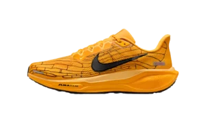 Air Zoom Pegasus 41 "Modern Mayfly"