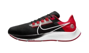 Air Zoom Pegasus 38 "Ohio State"